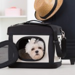 Viajar con mascotas: ¿Tren, barco o avión?